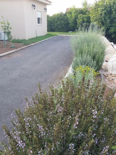 Beit Haner Moshav Lodge